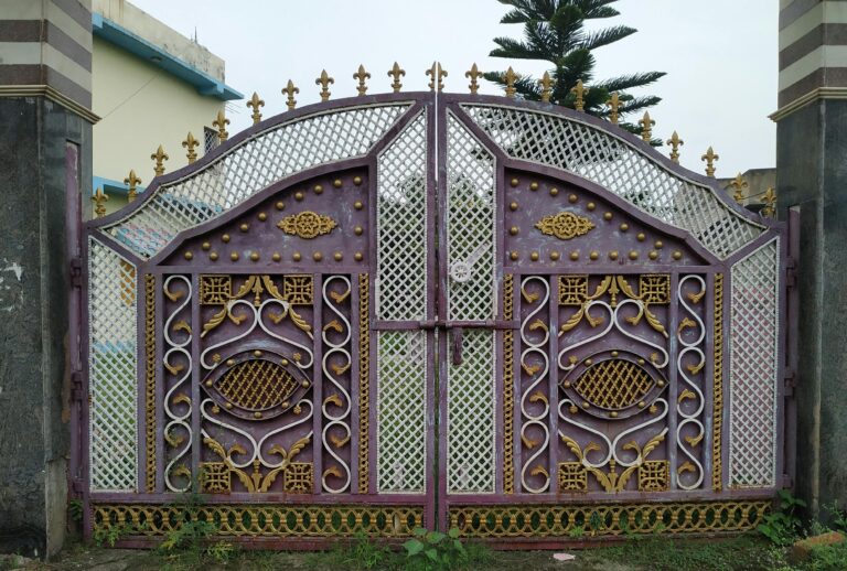 Intricate metal gate with ornate design in Tamlia, India. Ideal for architecture enthusiasts.